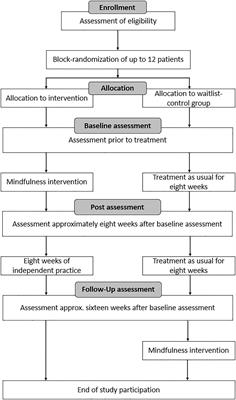 Pilot Study of Mindfulness Training on the Self-Awareness of Motor Symptoms in Parkinson’s Disease – A Randomized Controlled Trial